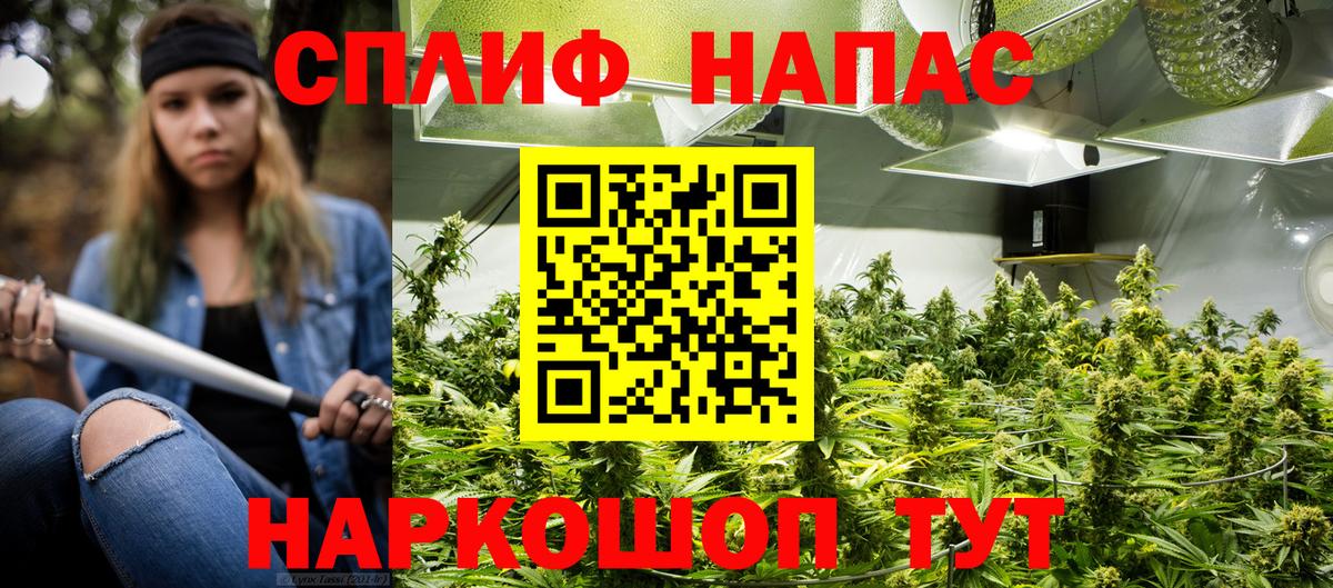 Советск  Канабис тримм  Вход с VPN  Каннабис тримм 